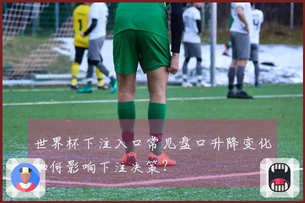 世界杯下注入口常见盘口升降变化如何影响下注决策？