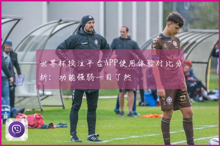 世界杯投注平台APP使用体验对比分析：功能强弱一目了然