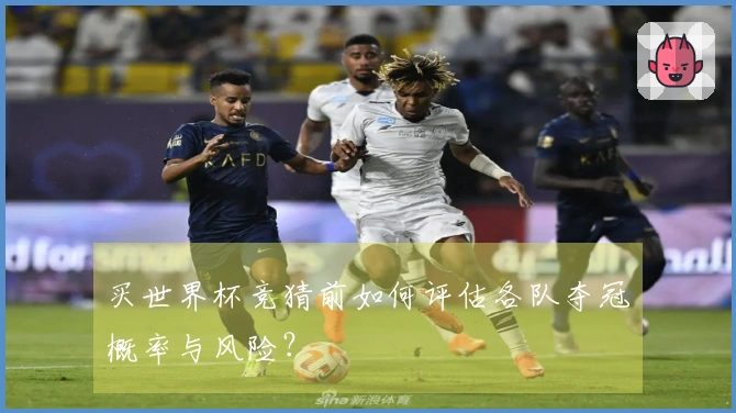 买世界杯竞猜前如何评估各队夺冠概率与风险？