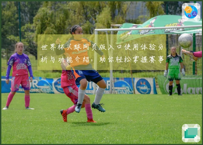 世界杯买球网页版入口使用体验分析与功能介绍，助你轻松掌握赛事动态