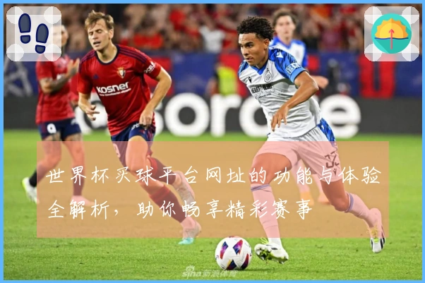 世界杯买球平台网址的功能与体验全解析，助你畅享精彩赛事