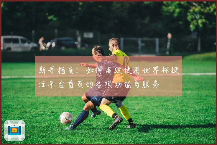 新手指南：如何高效使用世界杯投注平台首页的各项功能与服务