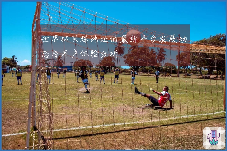 世界杯买球地址的最新平台发展动态与用户体验分析