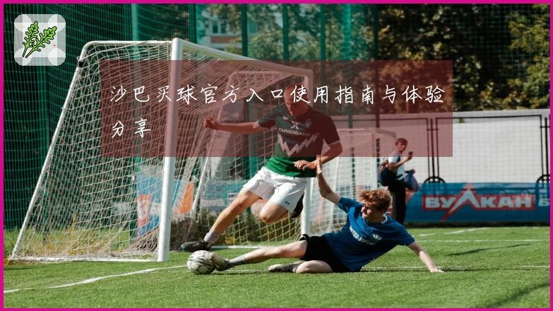 沙巴买球官方入口使用指南与体验分享