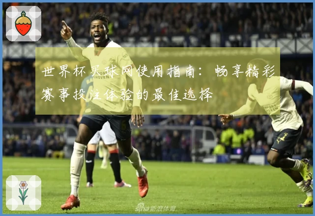世界杯买球网使用指南：畅享精彩赛事投注体验的最佳选择
