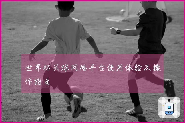 世界杯买球网络平台使用体验及操作指南