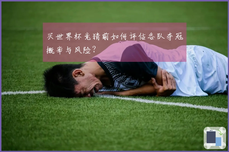 买世界杯竞猜前如何评估各队夺冠概率与风险？