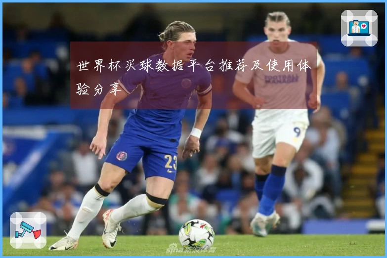 世界杯买球数据平台推荐及使用体验分享