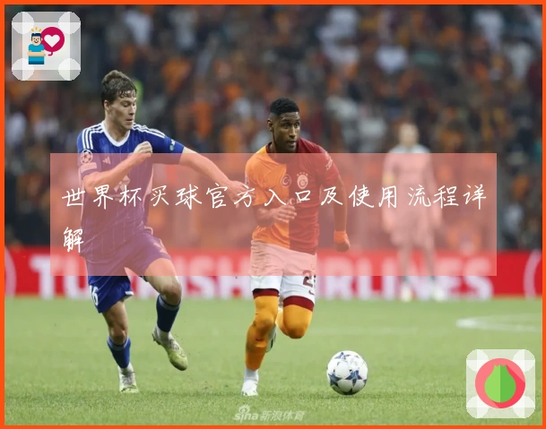 世界杯买球官方入口及使用流程详解