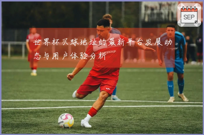 世界杯买球地址的最新平台发展动态与用户体验分析