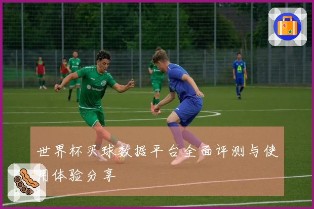 世界杯买球数据平台全面评测与使用体验分享