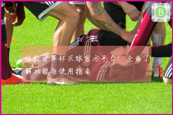 体验世界杯买球官方平台：全面了解功能与使用指南