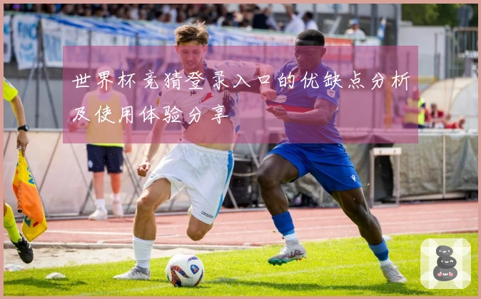 世界杯竞猜登录入口的优缺点分析及使用体验分享