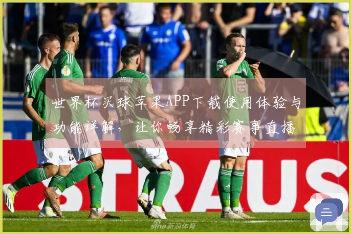 世界杯买球苹果APP下载使用体验与功能详解，让你畅享精彩赛事直播
