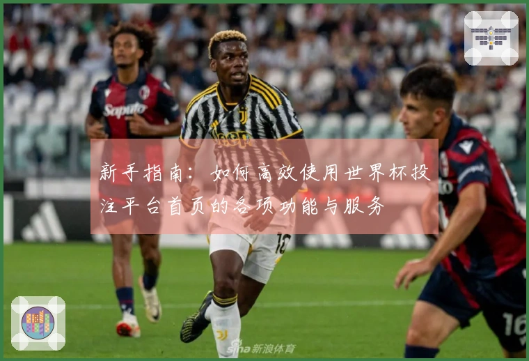 新手指南：如何高效使用世界杯投注平台首页的各项功能与服务