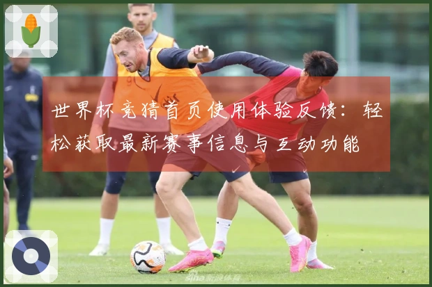 世界杯竞猜首页使用体验反馈：轻松获取最新赛事信息与互动功能