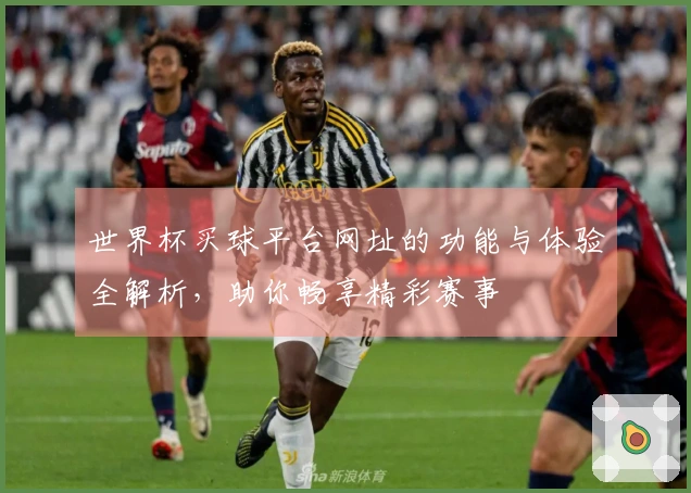 世界杯买球平台网址的功能与体验全解析，助你畅享精彩赛事