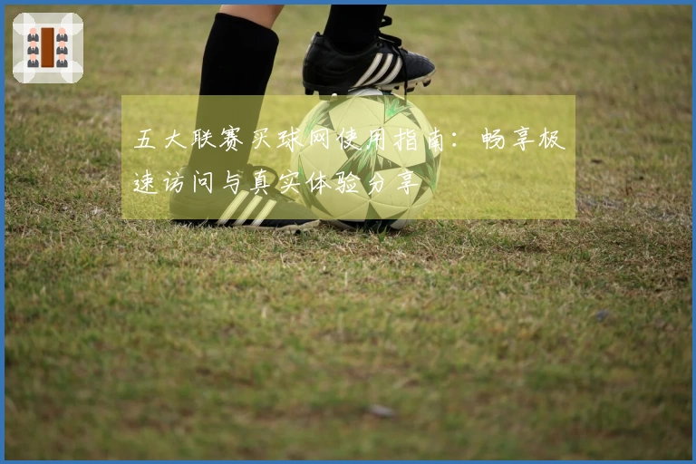 五大联赛买球网使用指南：畅享极速访问与真实体验分享